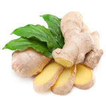 GINGER COMMON EDIBLE SPICE ( Zingiber officinale ) Rhizome Plant Fruit Tree