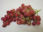 GRAPE - GIANT RED GLOBE ( Vitis Vinifera ) Seeds