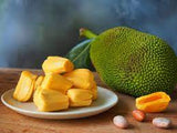 JACKFRUIT (Artocarpus Heterophyllus) Seedling Plant Fruit Tree