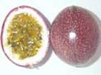 PASSIONFRUIT - Panama Red (Pasiflora Edulis Var. Flavicarpa ) Seed