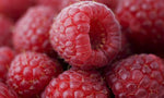 RASPBERRY RED (  Rubus Idaeus )  Seed