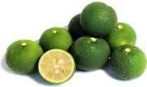 SUDACHI LIME JAPANESE CITRUS *** SUPER RARE *** ( Citrus Sudachi ) Seedling Plant Fruit Tree